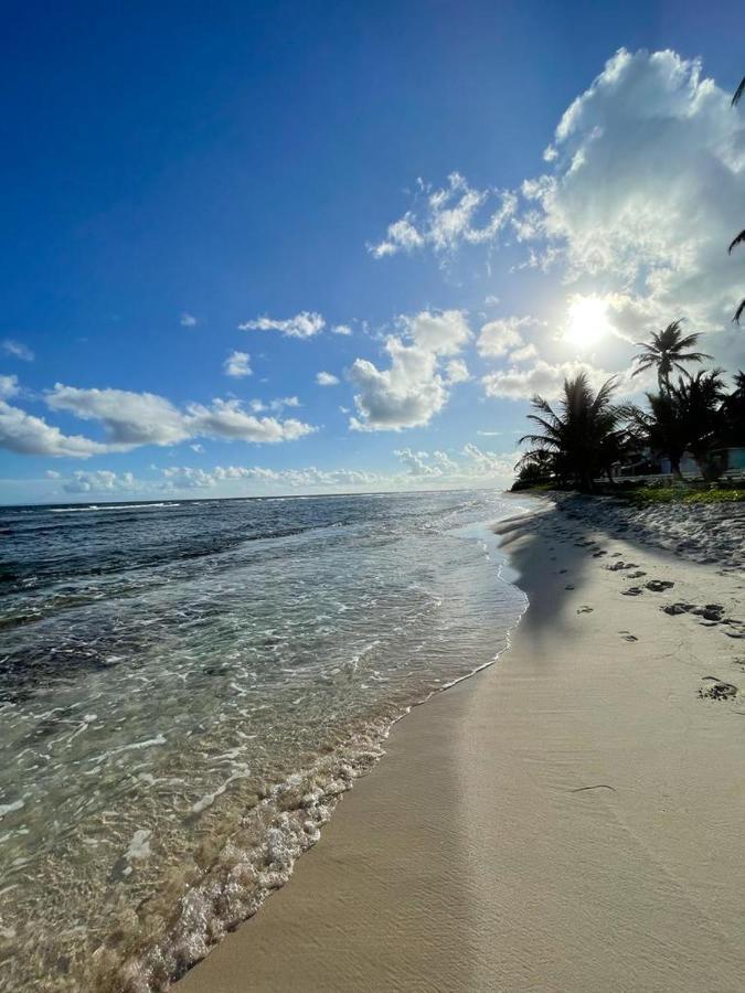 Appartement La Perle, T2 Les Pieds Dans L'Eau A 50M De La Mer Сен-Франсуа Екстер'єр фото